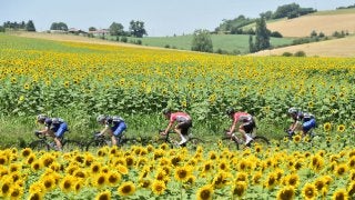 【山口和幸の茶輪記】564万フォロワー、1億2000万ページビュー！…数字で読むツール・ド・フランス2017