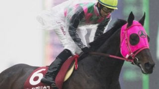 難解な函館記念。きっと「ああ買ってよかった」と思う穴馬が３頭いる