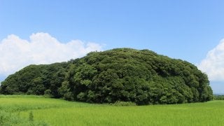 【小さな山旅】夏と千葉と最低山…千葉県富津市・稲荷山