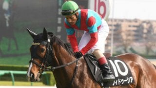 真夏の電撃戦アイビスSD。血統的視点から勝ち馬がクッキリ浮かんだ