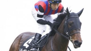 アイビスSDの穴馬は「初挑戦と条件馬」。この３頭が猛ダッシュする
