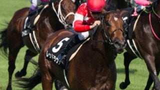 「千直」を知る大西直宏が言う。アイビスSDはレッドラウダが要注意