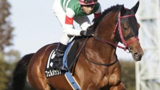 人気薄のディープ産駒が狙い目。小倉記念は３頭の穴馬がアツい配当を生む