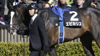 穴党記者が吟味。レパードＳはこの３頭に「打倒エピカリス」を託す