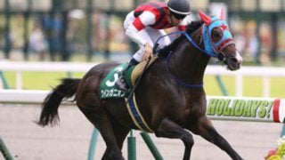 荒れない関屋記念。この「実績馬」が外枠ならば、勝ったも同然