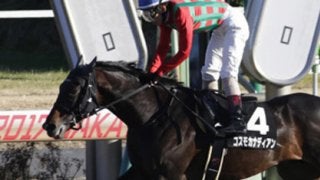 穴党記者が「人気馬そっちのけで推す３頭」がエルムＳで砂嵐を起こす