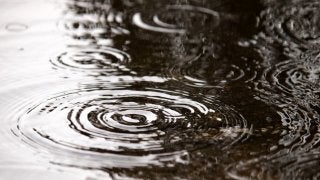 【高校野球2017夏】甲子園8日目は順延、決勝は23日予定