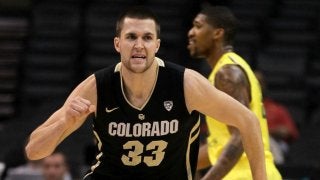 タイプの異なる2人のビッグマン、バーグレンとダフォーを獲得し、チームの方向性が定まった新潟アルビレックスBB