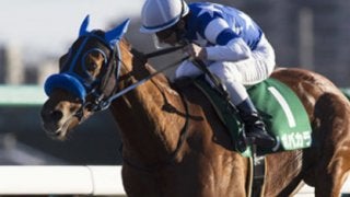 キーンランドＣの傾向から、オイシイ穴馬が３頭も見つかってしまった