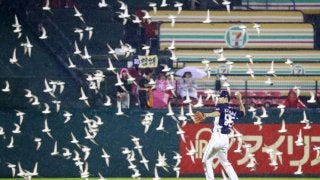 雨＆鳥…、東北楽天が中断後に4点差を追い付いて8対8のドロー