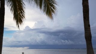 【MLB】イチロー所属のマーリンズが異例措置　ハリケーン直撃に備え家族も遠征帯同