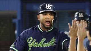 燕打線が14安打11得点と爆発！東京ヤクルトが連敗を9で止める！