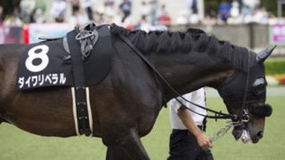 京成杯AHに「人気薄が激走パターン」あり。今年はこの３頭で大勝負