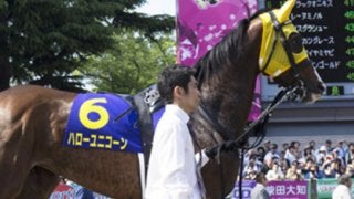 稼げるローズＳは「マジでやる気の４頭」が調整中の人気馬を吹き飛ばす