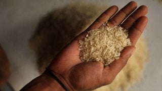 【記者ブログ】フィリピンに来て思う…「日本人は本当にコメ好きなのか？」という疑問とその答え