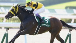 新星馬と古豪馬。スプリンターズＳは「ダ」で始まる２頭が狙い目ダ！