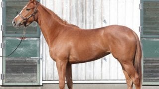 キューバ人も期待？　ソシアルクラブはあの女傑ブエナビスタの愛娘