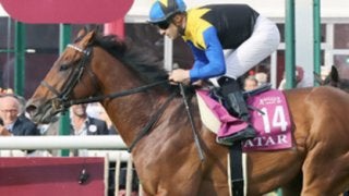 毎日王冠のマカヒキ。復活か、それともダービーで燃え尽きていたのか