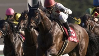 菊花賞の上がり馬、ミッキースワローの「遅れてきた大物」度を検証する