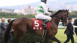 ダービー１～３着馬不在の菊花賞。ならば、キセキの奇跡がきっとある