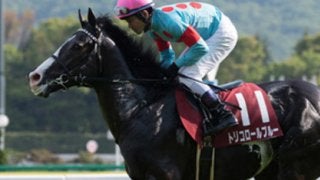 「強い馬」なき菊花賞は、やる気満々のトリコロールブルーに好機到来