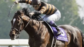 「キタサンブラックが負けるとすれば天皇賞・秋」という記者の真意は？