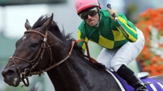 過去２年は度外視。天皇賞・秋はサトノクラウンが道悪をスイスイ勝つ