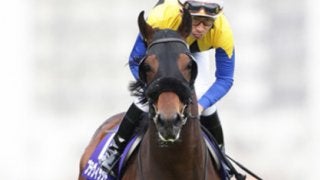 本場イギリスを極めた血が騒ぐ。エストスペリオルに早くも漂う大物感