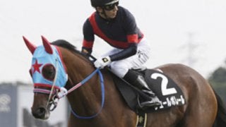 エリザベス女王杯は「お前が？」と驚く４頭が勝利の美酒を運んでくる