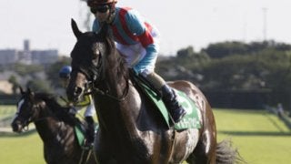 マイルCSに「空前の穴馬が４頭いる！」穴党記者が絶叫する馬名は？