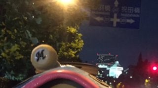 ロッテで人気・謎の魚がファン感に出演「辛口トークで、暴露話が中心で行く」