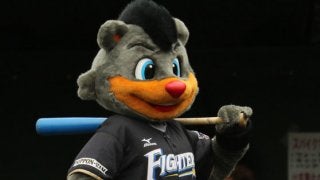 日ハムのマスコット「B・B」、球場活動に一区切り　“北海道のマスコット”に