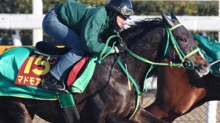 阪神JFは荒れて当然。「気まぐれ少女の穴馬３頭」がボーナス支給だ