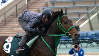 今週は香港だ。「強い日本調教馬」で、レースも馬券も世界に勝つぞ！