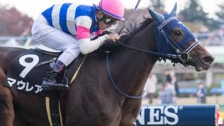 オルフェ娘２頭に待った！阪神JFはディープ娘マウレアに勝機あり