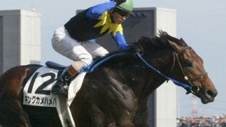 リバティハイツは国際派のキンカメ産駒。三度目の正直でついにデビュー