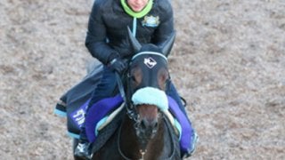朝日杯FS「過去３年の超穴馬」と同じパターンの３頭が発見された！
