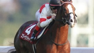 手前を替えろ、スワーヴリチャード！それなら有馬記念で古馬に勝てる