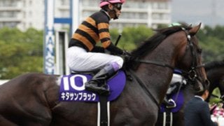 有馬記念が有終の「キタサンブラック祭り」になる、これだけの根拠