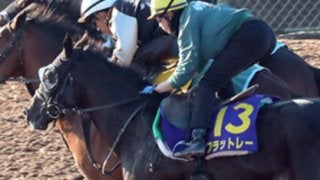 ホープフルＳ「穴党記者が熟考した４頭」で、この１年を大逆転勝利だ