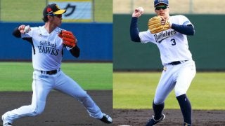 ハム中島ダイブ、鷹・今宮の超美技　2017年パ・リーグを沸かせた好守は…