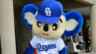 中日が春季キャンプの“ドアラ出没”日程を発表
