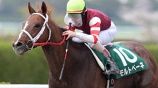 波乱続きの東海Ｓ。穴党記者が推すのは「えッ!?」と驚く超穴馬ばかり