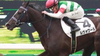 資質はＧＩ級のフィエールマン。陣営の願いは「とにかく無事で…」