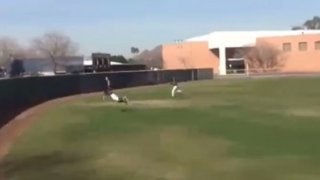 まだ1月なのに…米で早くも「今年最高の捕球」が誕生!?　「まるで魔術のよう」