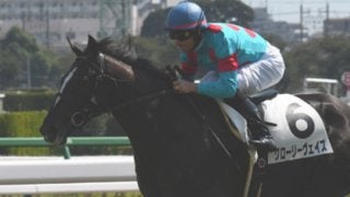 過去の勝ち馬ソックリ。きさらぎ賞はグローリーヴェイズで間違いなし
