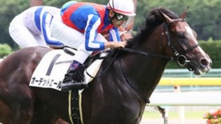 今の京都はディープ産駒に難。きさらぎ賞は「ジワ伸び２頭」が大正解