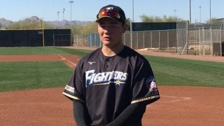 メッツスカウト、ハム清宮の「体」に驚き「立派だね」「あれで18歳なのか！」