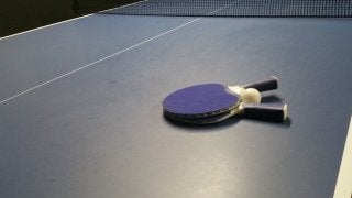 日本ペイント女子卓球部、新リーグ「Tプレミアリーグ」参入