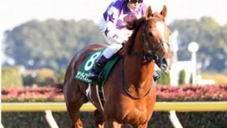 フェブラリーＳなら信頼のゴールドアリュール産駒。中でも狙い目は？